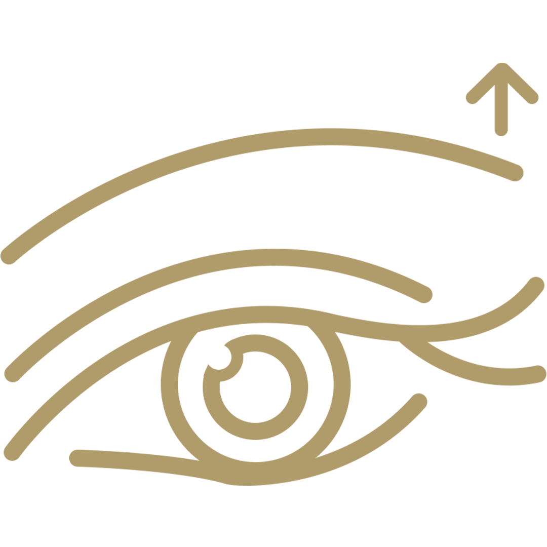  <span class="lte-header lte-h4"> Brow Lift </span> 