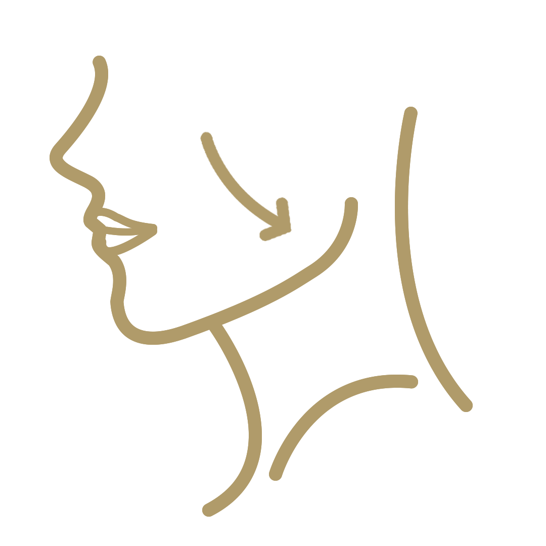  <span class="lte-header lte-h4"> Masseter (facial shaping) and Bruxism </span> 